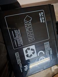 Batteria 12V 18Ah