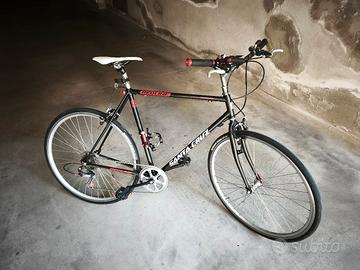 Bicicletta da uomo ruota 28