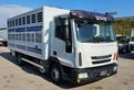 IVECO EUROCARGO 80E22 TRASPORTO ANIMALI MT5.25+S