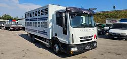 IVECO EUROCARGO 80E22 TRASPORTO ANIMALI MT5.25+S