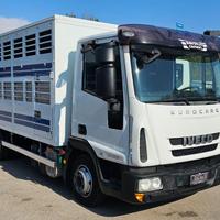 IVECO EUROCARGO 80E22 TRASPORTO ANIMALI MT5.25+S