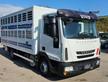 IVECO EUROCARGO 80E22 TRASPORTO ANIMALI MT5.25+S