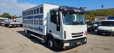IVECO EUROCARGO 80E22 TRASPORTO ANIMALI MT5.25+S