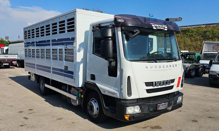 IVECO EUROCARGO 80E22 TRASPORTO ANIMALI MT5.25+S