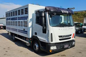 IVECO EUROCARGO 80E22 TRASPORTO ANIMALI MT5.25+S