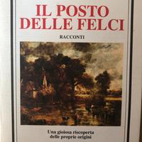Libro Il posto delle felci
