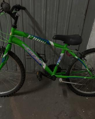 Bicicletta ragazzo