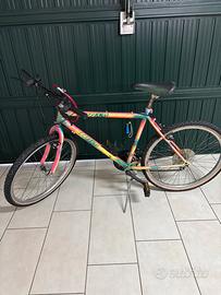 Bicicletta Mountain Bike