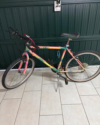 Bicicletta Mountain Bike