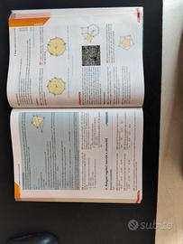 Colori della Matematica edizione blu, geometria 
