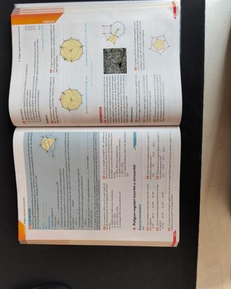 Colori della Matematica edizione blu, geometria 