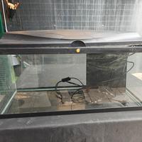 Acquario 80 L
