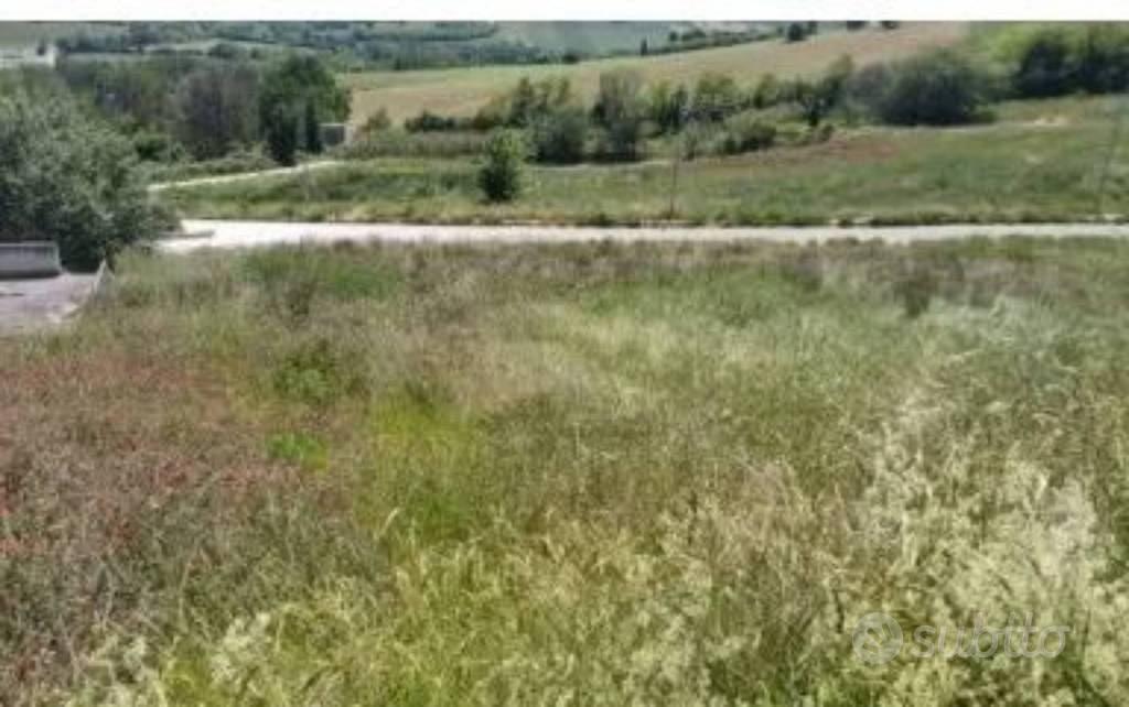Immobile in asta di 555 m² a Montegranaro - Vista 3