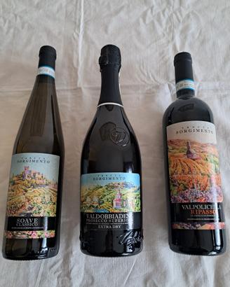 vini Tenuta Sorgimento (Veneto)