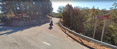 TERRENO FORESTATO - 41.935 mq