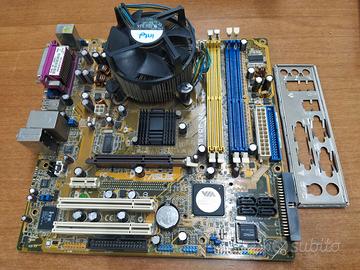 Scheda Madre Asus P5DC-MX