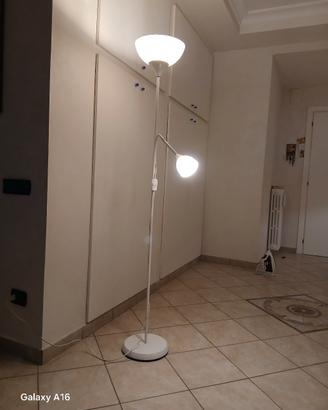 piantana 