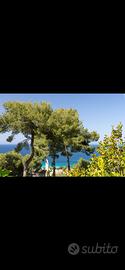 Appartamento all'addaura vista mare