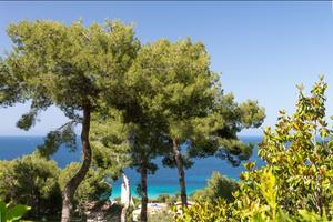 Appartamento all'addaura vista mare