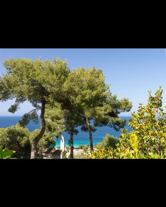 Appartamento all'addaura vista mare