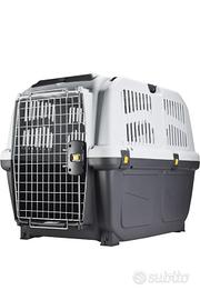 kennel