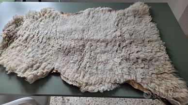 Pelle di pecora