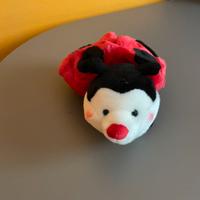 Peluche coccinella rossa e nera