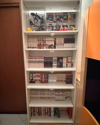collezione MANGA