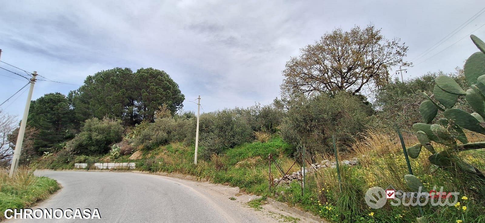 Rometta, funzionale terreno agricolo terrazzato - Vista 4