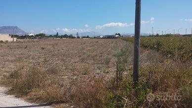 Terreno con progetto