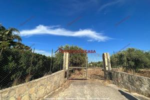 Terreno, Termini Imerese.