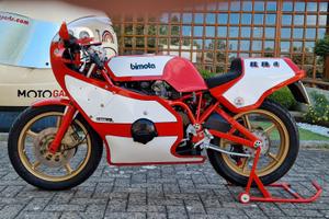 BIMOTA KB1 Terza Serie (1981) - Kit A Monoposto Or