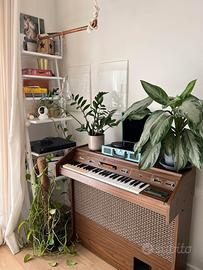 Organo Bontempi