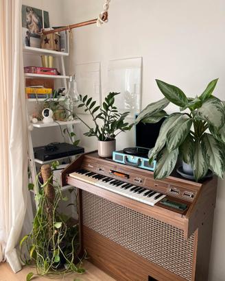 Organo Bontempi