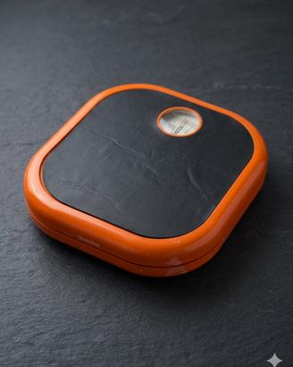 Bilancia vintage -Terraillion