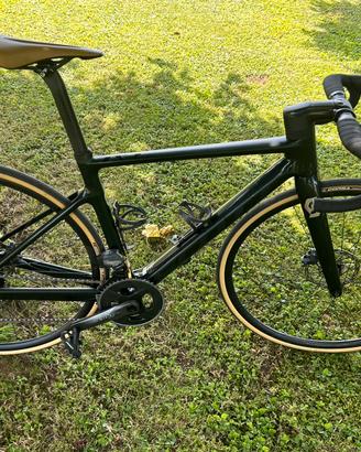 Bici da corsa