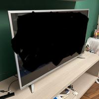 Tv skywoth 43 pollici