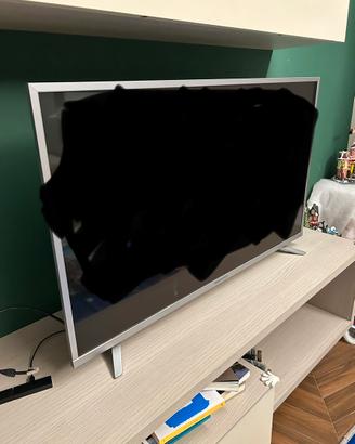 Tv skywoth 43 pollici