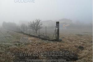 Terreno Agricolo Caorso [A4283390]