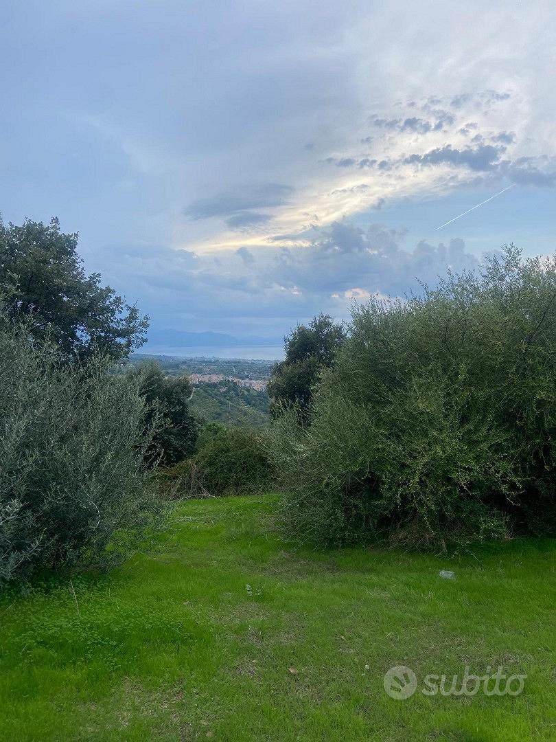 Terreno panoramico 5000 mq con uliveto e pozzi Gra - Vista 4