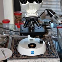 Microscopio binoculare professionale