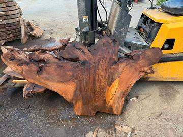 Tavole di legno in radice di olmo