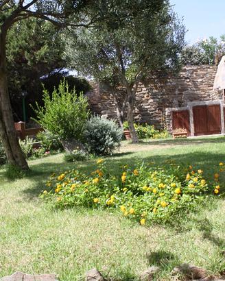 Stintino Casa con giardino vicino La Pelosa