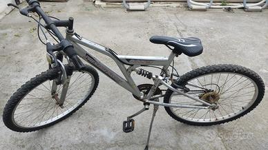 Biciclette (3)