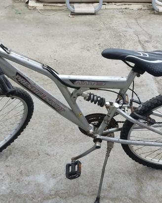 Biciclette (3)