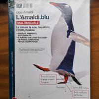 Libro fisica "L'Amaldi.Blu", ISBN: 9788808265487