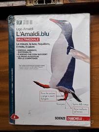 Libro fisica "L'Amaldi.Blu", ISBN: 9788808265487