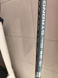 Canna bolognese