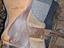 Immagine 2