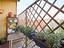 Immagine 21